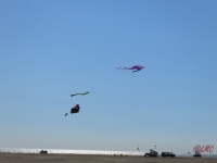 Fanoe_2014_269