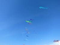 Fanoe_2014_271