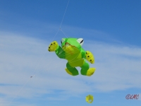 Fanoe_2014_276