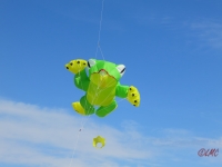 Fanoe_2014_277