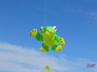 Fanoe_2014_278