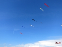 Fanoe_2014_282