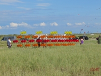 Fanoe_2014_286