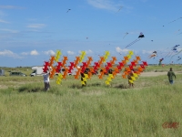 Fanoe_2014_287