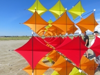 Fanoe_2014_290