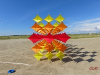 Fanoe_2014_293