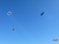 Fanoe_2014_295