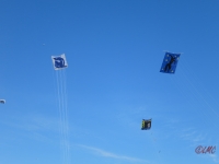 Fanoe_2014_296