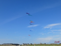 Fanoe_2014_298