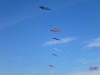 Fanoe_2014_299