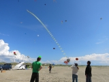 Fanoe_2014_242