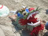 Fanoe_2014_244
