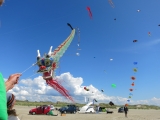 Fanoe_2014_247
