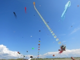 Fanoe_2014_250