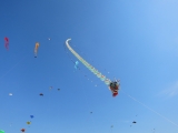 Fanoe_2014_253