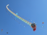 Fanoe_2014_254
