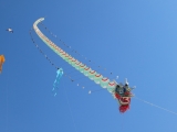Fanoe_2014_255