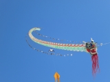 Fanoe_2014_256