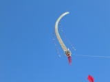 Fanoe_2014_257