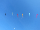 Fanoe_2014_258