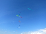 Fanoe_2014_259