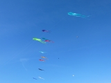 Fanoe_2014_260