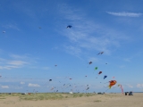 Fanoe_2014_261