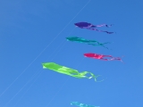 Fanoe_2014_263