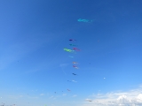 Fanoe_2014_264