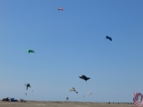 Fanoe_2014_268