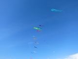 Fanoe_2014_271