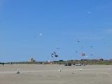 Fanoe_2014_274
