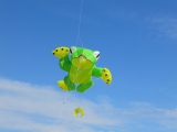 Fanoe_2014_277