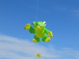 Fanoe_2014_278
