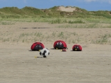 Fanoe_2014_279
