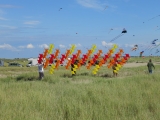 Fanoe_2014_287