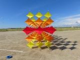 Fanoe_2014_293