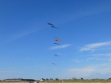 Fanoe_2014_298