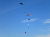 Fanoe_2014_299