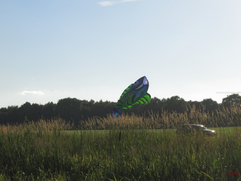 Henstedt_2014_007