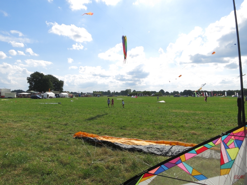 Henstedt_2014_012