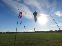 Henstedt_2014_001