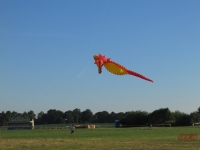 Henstedt_2014_006