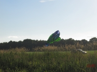 Henstedt_2014_007