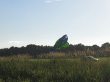 Henstedt_2014_007