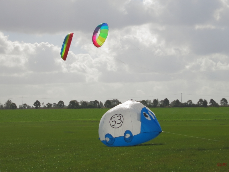 Rattey_2014_009