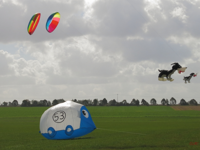 Rattey_2014_010