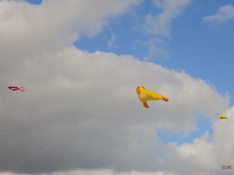 Rattey_2014_019