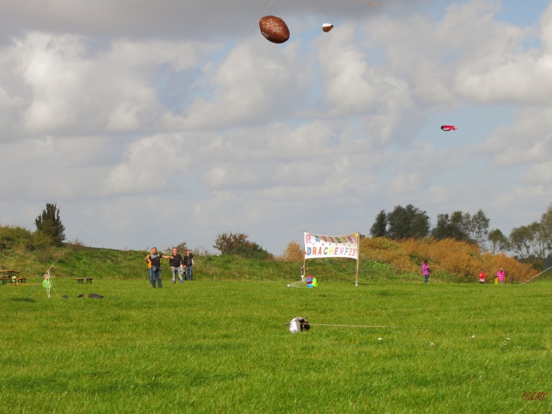 Rattey_2014_021