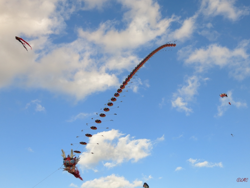Rattey_2014_026